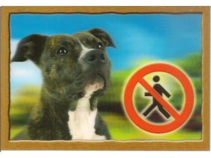 Cedule na vrata 3D Stafordšírský terier