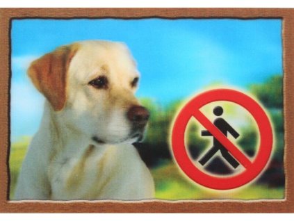 Cedule na vrata 3D  Labradorský retrivr zlatý