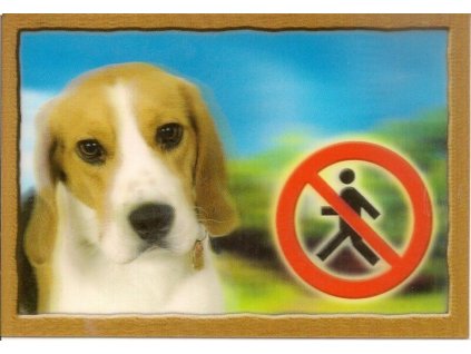 Cedule na vrata 3D Beagle