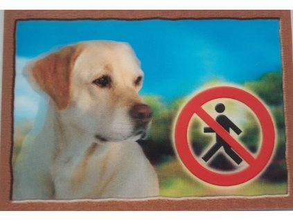 Cedule na vrata 3D Labradorský retrivr béžový