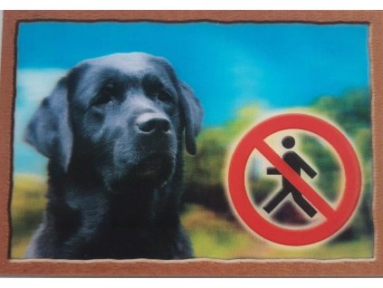 Cedule na vrata 3D Labradorský retrivr černý