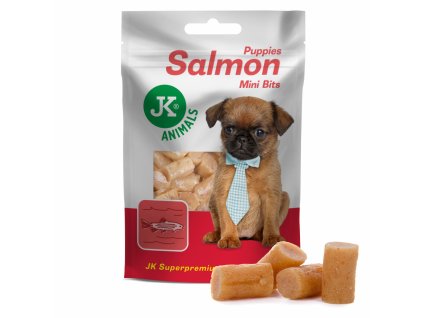 Lososová mini pochoutka pro štěňata - masový pamlsek 50 g