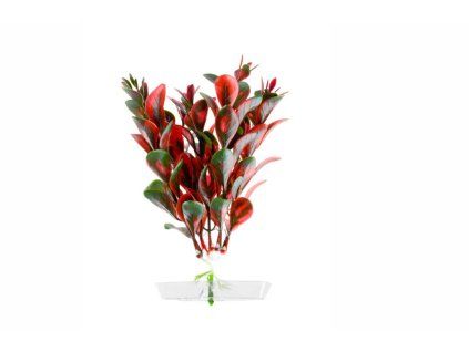 Red Ludwigia - akvarijní plastová rostlinka