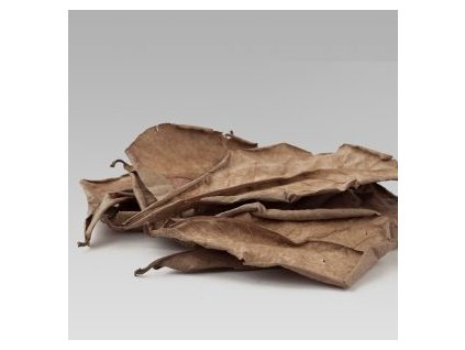 Mandlovník mořský (Terminalia catappa) – sušené listy 20g