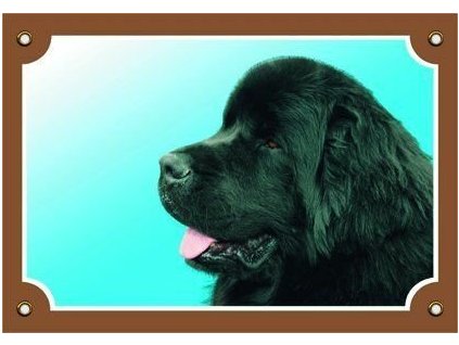 Cedule na vrata Novofundlanský pes černý