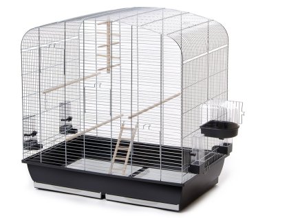 Sara pozink, klec pro ptáky