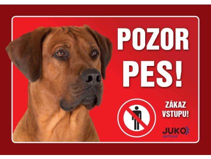 Cedule na vrata Rhodéský ridgeback