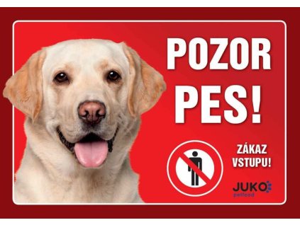 Cedule na vrata Labrador zlatý