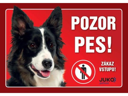 Cedule na vrata Border kolie