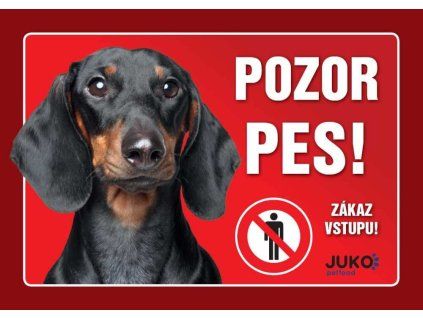 Cedulka Juko JEZEVČÍK hladkosrstý černý