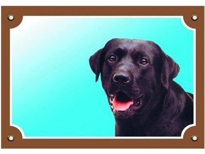 Barevná cedulka Pozor pes, Labrador černý