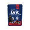 Brit Premium Cat Pouches s hovězím a hráškem 100g