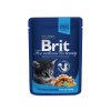 Brit premium cat pouches kuřecí kousky pro koťata 100g