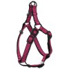 Postroj ACTIVE DOG Premium M