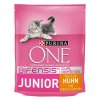 PURINA ONE Junior kuřecí 800g