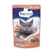 PreVital kočka losos v omáčce, kapsa 100 g