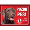 Cedule na vrata Labrador hnědý
