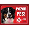 Cedule na vrata Bernský salašnický pes