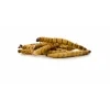 Sušený potemník brazilský, Superworm Dried, 80 g, (Zophobas morio)