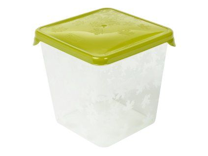 rukkola ctverec zelená