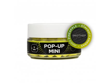 POP UP FLUO PINEAPPLE štavnatý ananás 12mm 50g