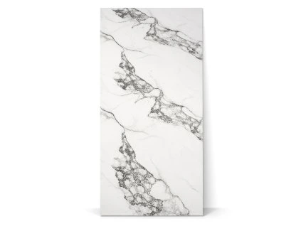 1772449341 c3d169a4 beed 4783 b9e8 d156f3d586a9