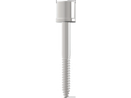 Anchor Screw