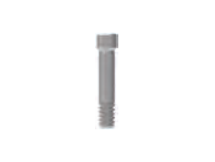 Abutment Screw Narrow
