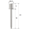 Anchor Screw
