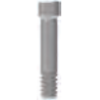 Abutment Screw Narrow