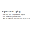 MINI PLUS Ball Impression Coping