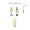 Cemented Abutment (Typ N-Hex 4.5x4 C1)