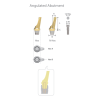 Angulated Abutment