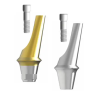 Angulated Abutment