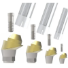 Multi A Abutment