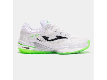 20241004102910.TSLAMW2502OM