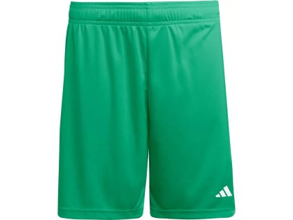 1048729 960 (1) 11zon