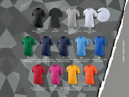 Sada dresů Nike Tiempo Premier - dlouhý rukáv 894248