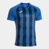 Dětská sada dresů Joma Inter V 104383 (15x dres)