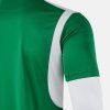 Pánský dres Joma Winner IV 105002.461
