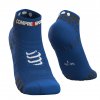 Pro Racing Socks v3.0 Run Low