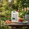 Ecorai Ocet bílý 10 % kanystr 5 l