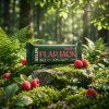 4Slim Flapjack malina 55g