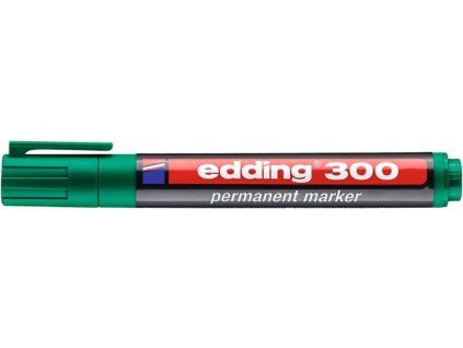 TED30041