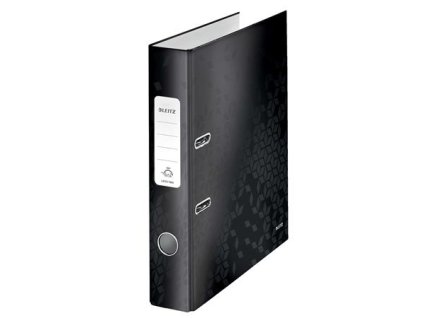 E10060095