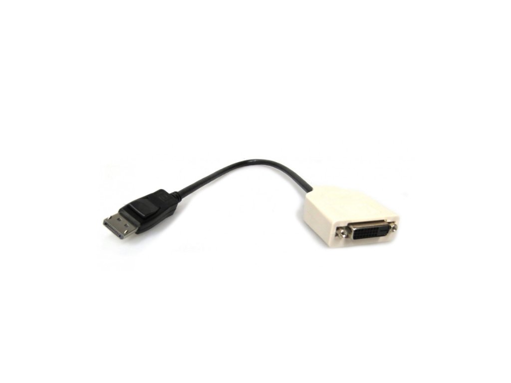 _DisplayPort-DVI2.jpg