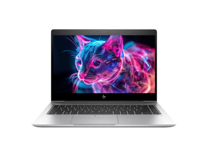 _HP-EliteBook-745 G5-1.jpg