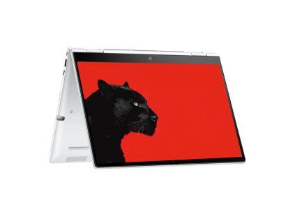 _HP EliteBook 8 Flip G1i 13-12.jpg