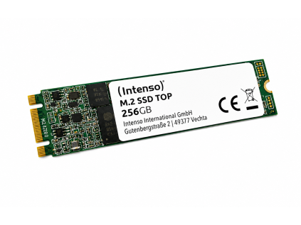 Intenso 256GB M.2 SATA SSD 2280.jpg
