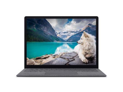 _Microsoft Surface Laptop 4-2.jpg